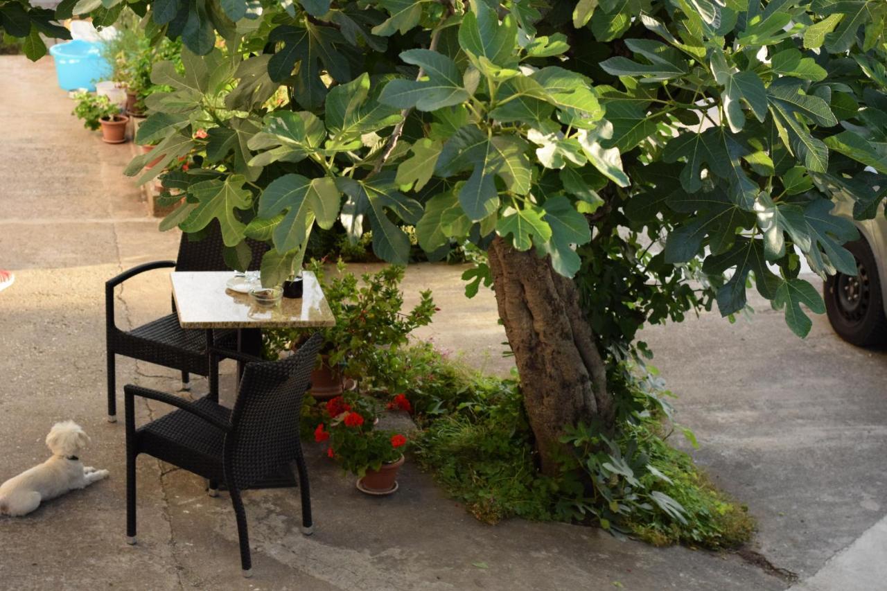 Studio apartman MARINA Vodice Bagian luar foto