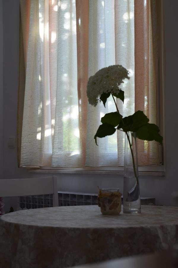 Studio apartman MARINA Vodice Bagian luar foto